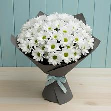 Букет цветов из:  Хризантемы #REPLACE_PRED# Черепаново