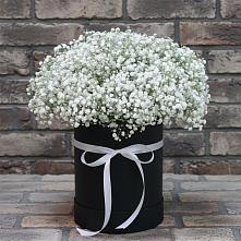 Цветочная композиция из Гипсофила в шляпной коробке в Черепаново