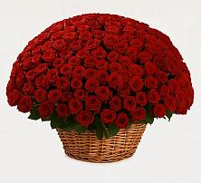 Премиум букет из: Розы в Черепаново